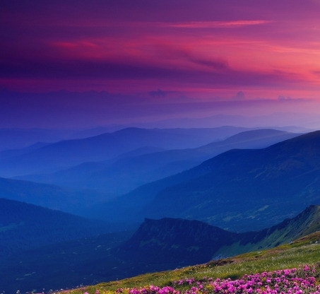 75公斤级举重世界纪录