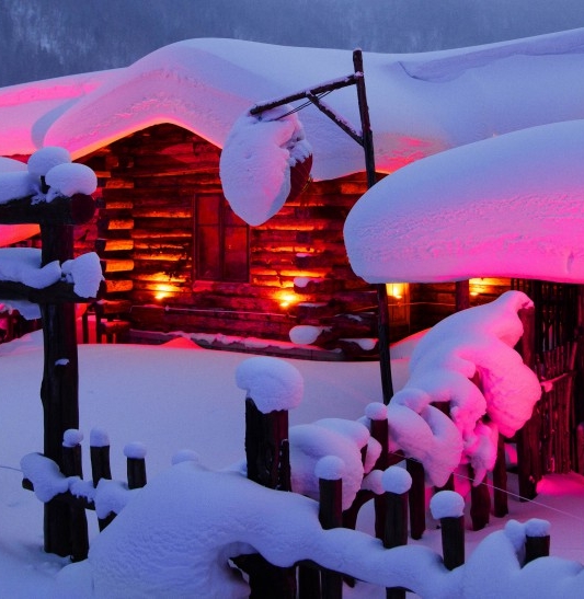 世界上最长寿的人是哪个国家