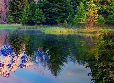 世界动物日用英语怎么说