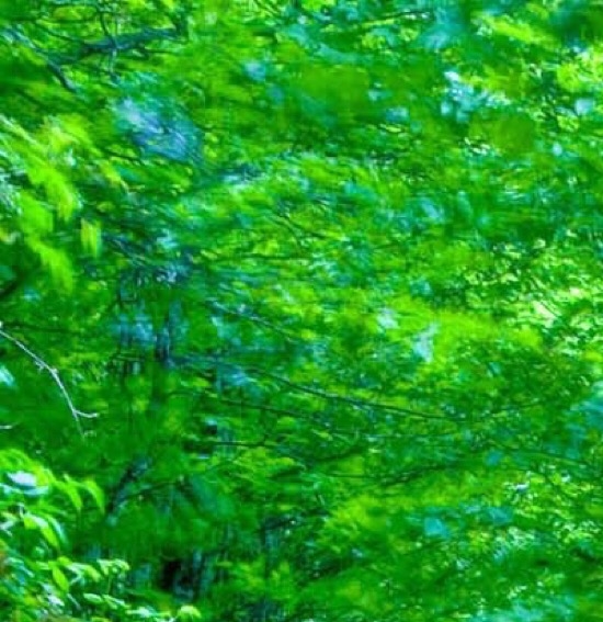 石家庄科技信息职业学院怎么样