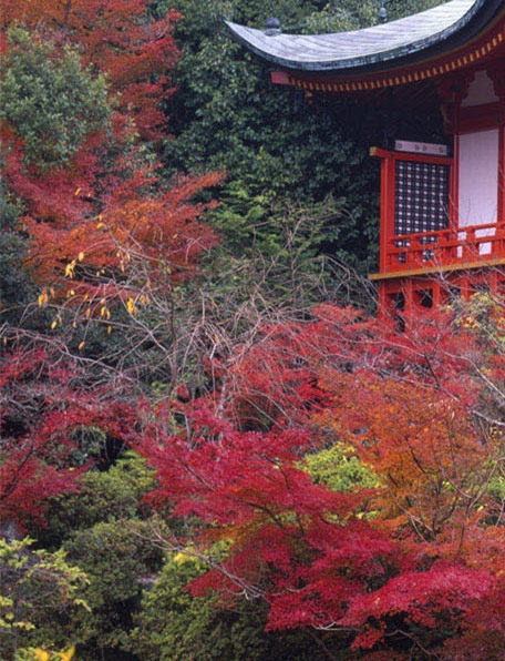 万华节能科技集团股份有限公司西安公司