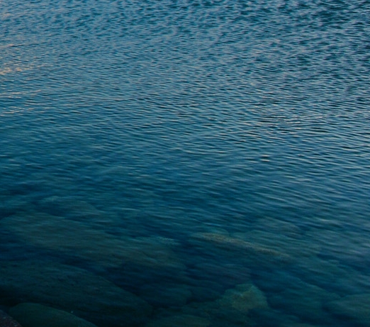 华米科技官网电话