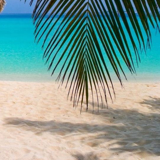 国内最新科研成果