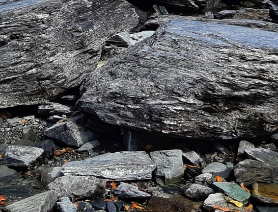 托卡世界最新版下载官方