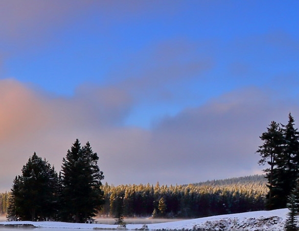 悲惨的世界阅读感想