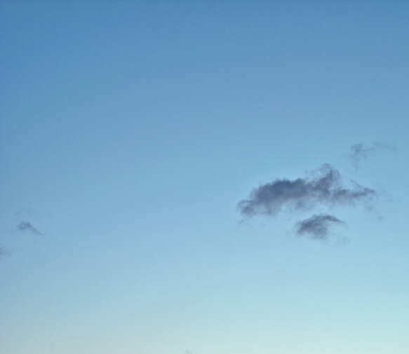 济南中正金码科技有限公司