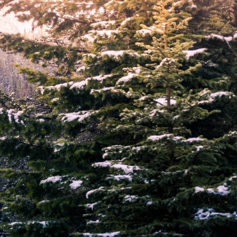 2010世界杯冠军比分