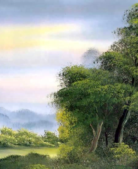 宝家乡墅科技有限责任公司