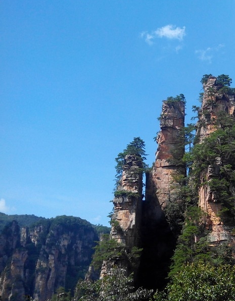 成都农科院单招官网