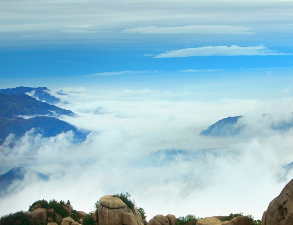 世界未解之谜网站有哪些