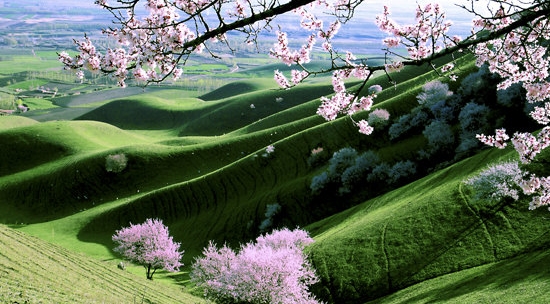 江苏科技大学苏州理工学院分数线