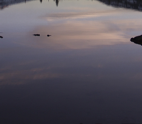 美好世界献上祝福樱花动漫