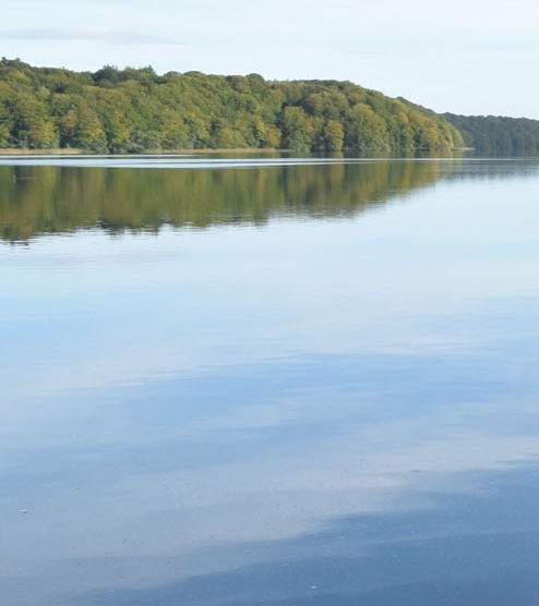 安徽科技大学录取分数线2022