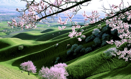 黑龙江生物科技职业学院官网教师