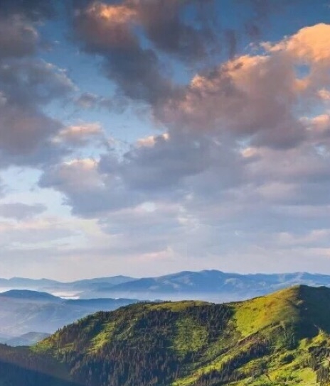 女单乒乓球世界排名榜