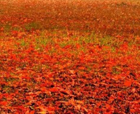 武汉科技学院是几本啊