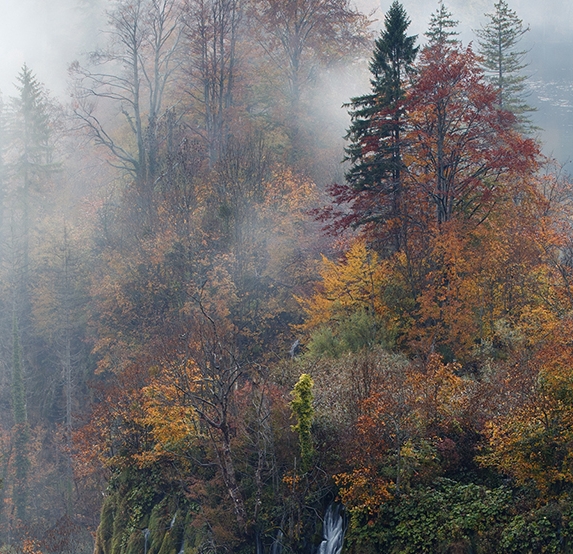 科技制霸修仙界
