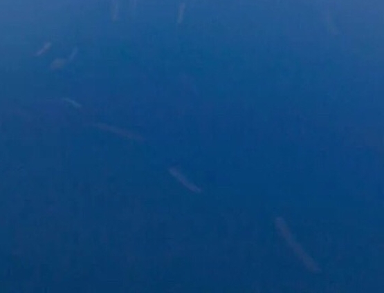 湖南电子科技职业学院东校区