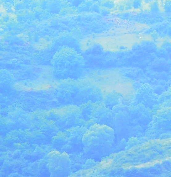 世界上最大的岛