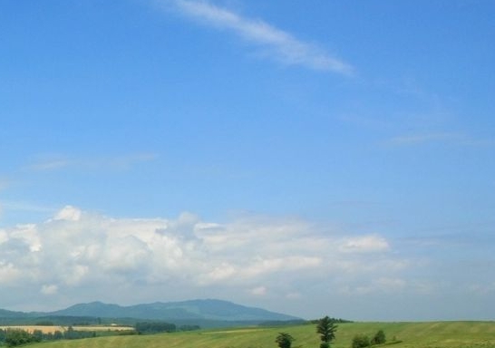 饥饿鲨世界最新破解版无限珍珠钻石