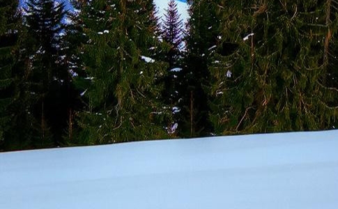 科技导报是核心期刊吗