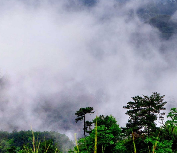 易程科技股份有限公司官网