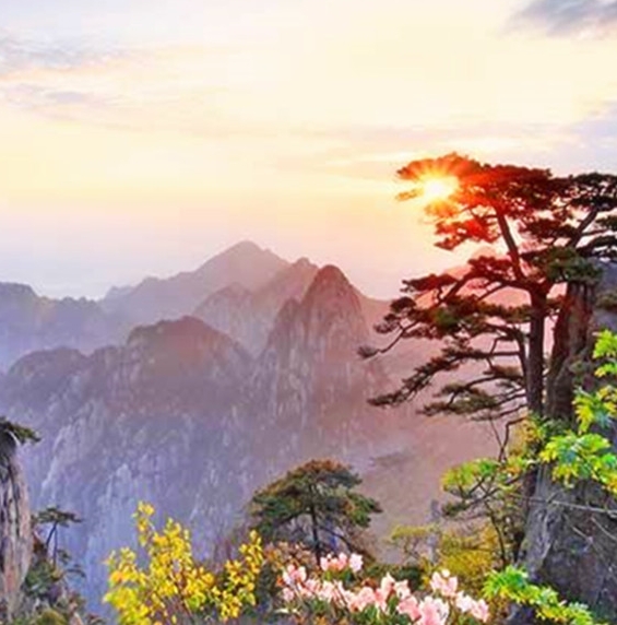 南昌大学qs世界排名