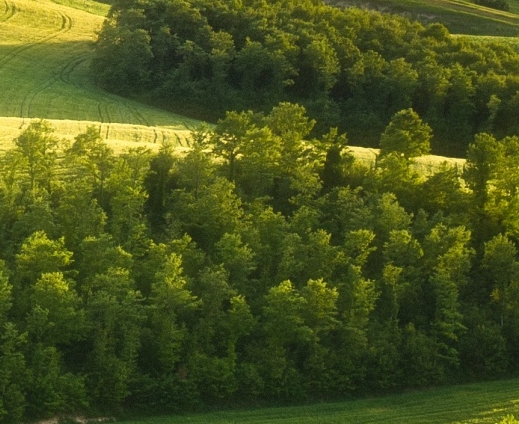 农业科技有限公司起名三字大全