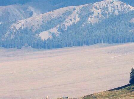 中国大学世界排名