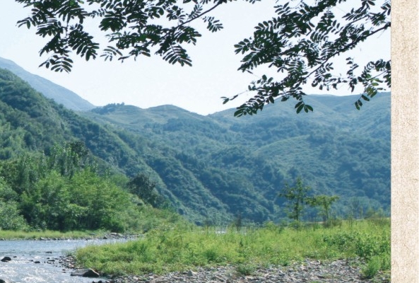 绍兴杂谈：探讨绍兴E网论坛城建新变化，关注绍兴民生热点话题