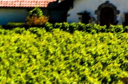 世界爱耳日宣传语