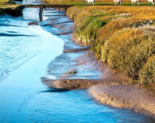 北京初见科技有限公司有哪些游戏