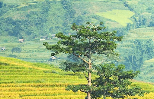 002937兴瑞科技股吧