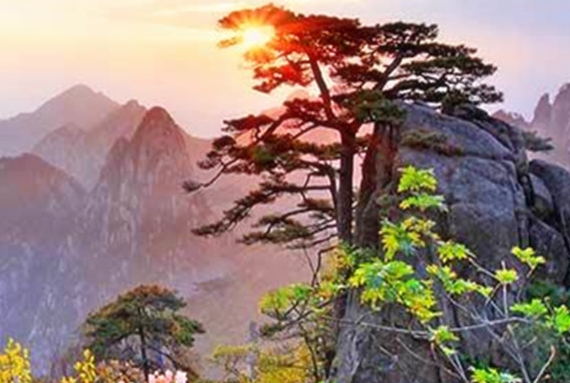 故宫真的是世界最大宫殿？揭秘全球最庞大宫殿建筑群之谜