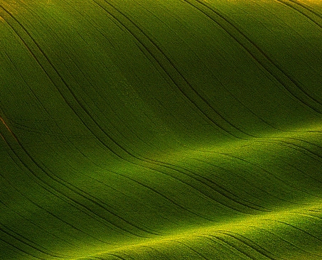 等到世界颠倒你会来爱我卢卢快闭嘴