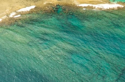 魔兽世界在线人数2022