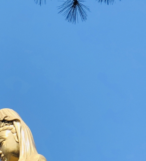 世界杯分组按照什么分的