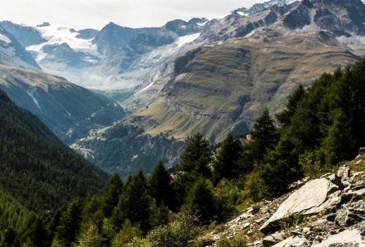 天津科技大学艺术学院在哪个校区