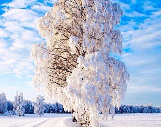 上海昊海生物科技股份有限公司维修电工待遇