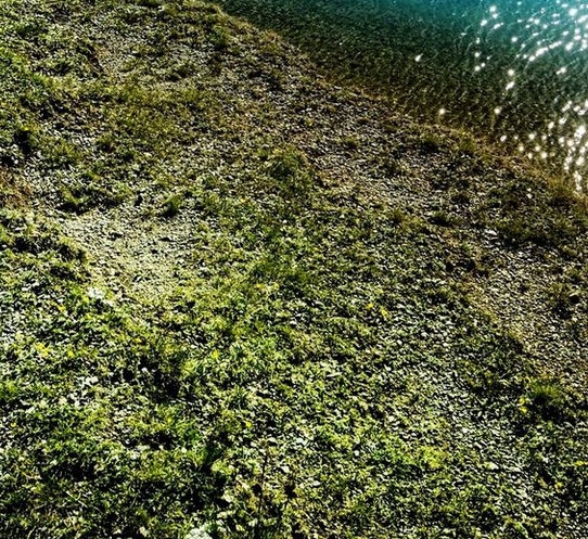 世界十大名表尽显奢华：揭秘价格排行榜，震撼你的视觉与荷包