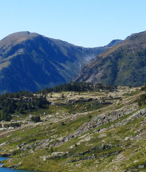 魔兽世界适合手残的职业