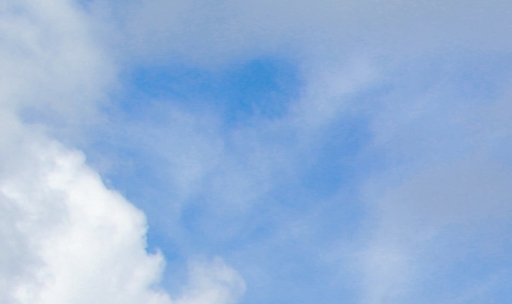 博尔特世界上跑得最快的人