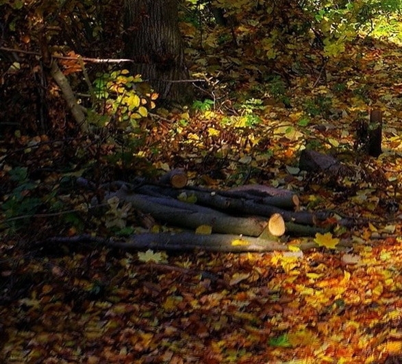 深圳小梅沙海洋世界为什么闭园