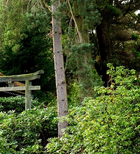 厦门立林科技有限公司的电话号码