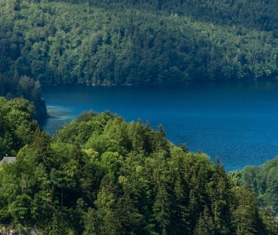 三变科技股票历史交易数据