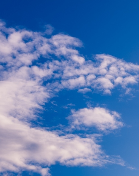 神奇世界延边红十下载