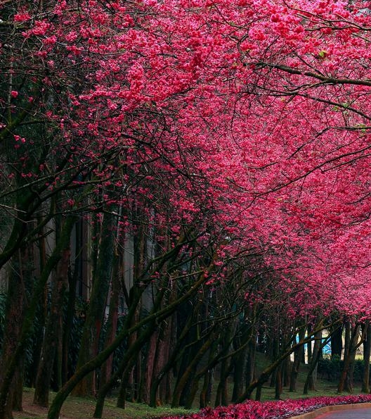 掌握魔兽世界工程学技能：轻松升级攻略，尽享专属优势