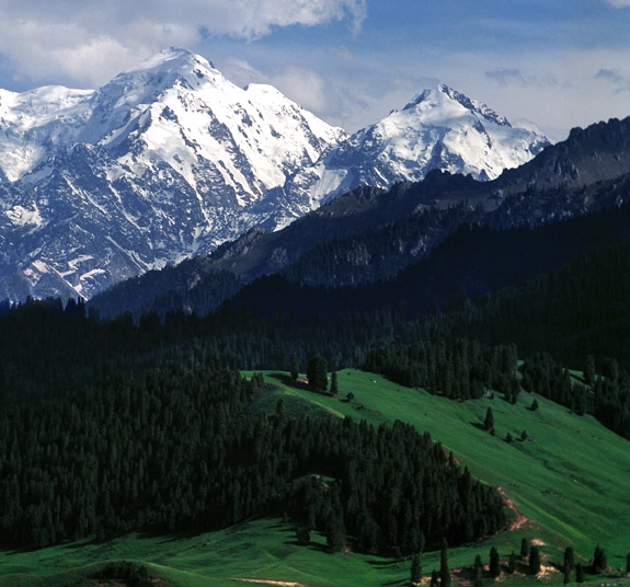 大竹川环科技有限公司