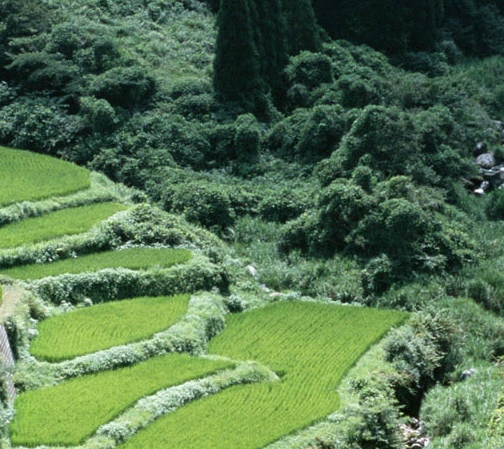 重庆西山科技股份及重庆西山科技股份天眼查详解