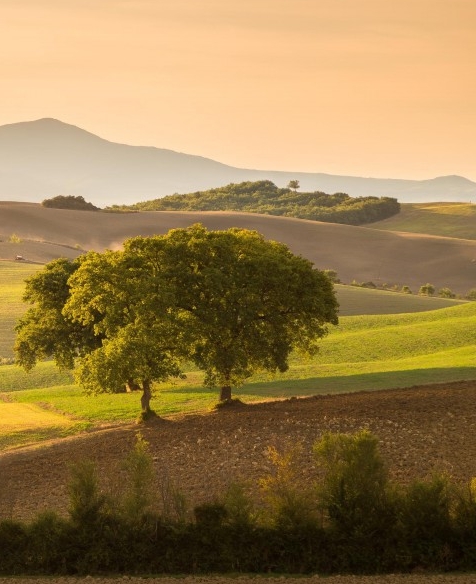 杰克模板机官网